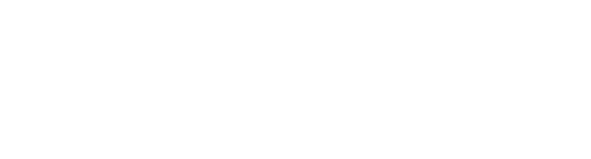 seneidas-logo-WHITE